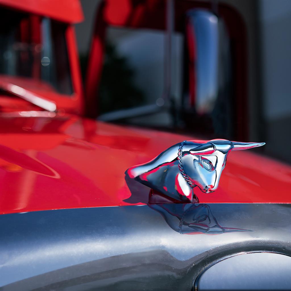 Chrome Long Horn Bull Hood Ornament