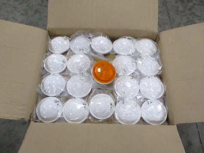 files/amber-1.jpg